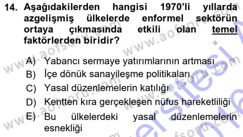 Ekonomi Sosyolojisi Dersi Ara Sınavı Deneme Sınav Soruları 14. Soru