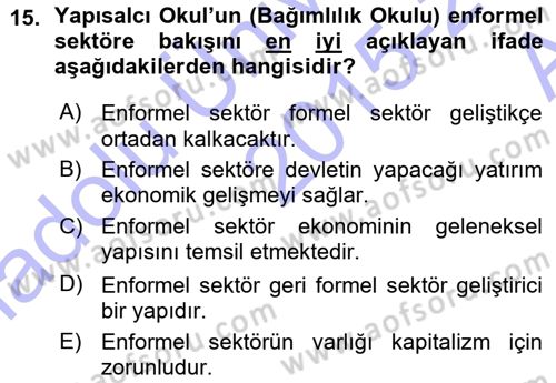 Ekonomi Sosyolojisi Dersi Ara Sınavı Deneme Sınav Soruları 15. Soru