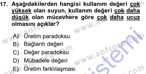 Ekonomi Sosyolojisi Dersi 2015 - 2016 Yılı (Vize) Ara Sınav Soruları 17. Soru