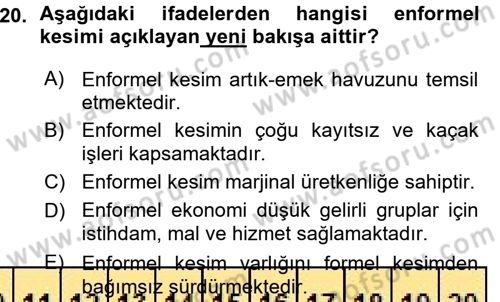 Ekonomi Sosyolojisi Dersi Ara Sınavı Deneme Sınav Soruları 20. Soru