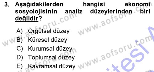 Ekonomi Sosyolojisi Dersi 2015 - 2016 Yılı (Vize) Ara Sınav Soruları 3. Soru