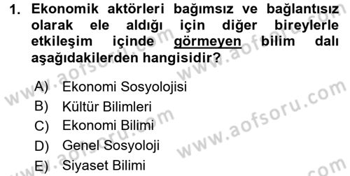 Ekonomi Sosyolojisi Dersi 2015 - 2016 Yılı (Final) Dönem Sonu Sınav Soruları 1. Soru