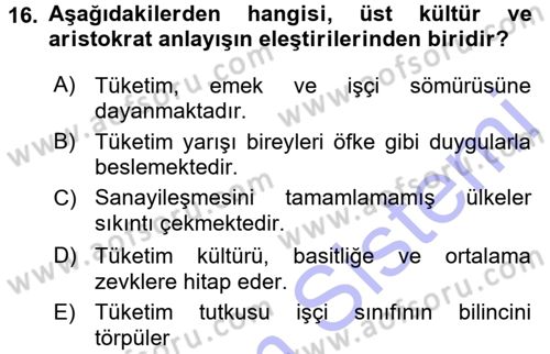 Ekonomi Sosyolojisi Dersi 2015 - 2016 Yılı (Final) Dönem Sonu Sınav Soruları 16. Soru