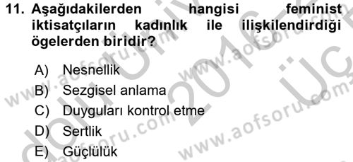 Ekonomi Sosyolojisi Dersi 2016 - 2017 Yılı 3 Ders Sınav Soruları 11. Soru