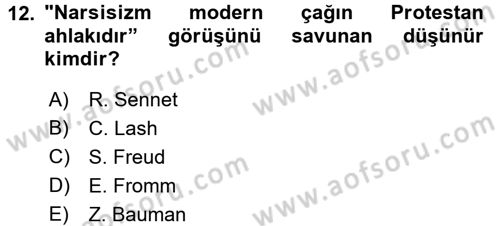 Ekonomi Sosyolojisi Dersi 2016 - 2017 Yılı 3 Ders Sınav Soruları 12. Soru