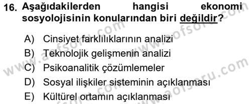 Ekonomi Sosyolojisi Dersi 2016 - 2017 Yılı 3 Ders Sınav Soruları 16. Soru