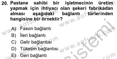 Ekonomi Sosyolojisi Dersi 2016 - 2017 Yılı 3 Ders Sınav Soruları 20. Soru