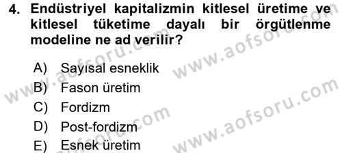 Ekonomi Sosyolojisi Dersi 2016 - 2017 Yılı 3 Ders Sınav Soruları 4. Soru
