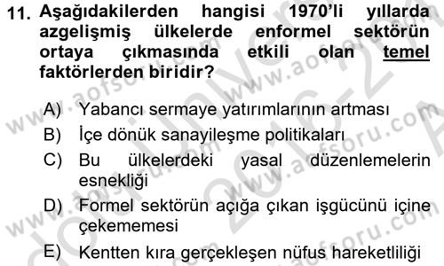 Ekonomi Sosyolojisi Dersi Ara Sınavı Deneme Sınav Soruları 11. Soru