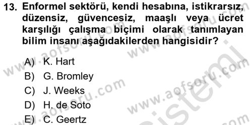 Ekonomi Sosyolojisi Dersi 2016 - 2017 Yılı (Vize) Ara Sınav Soruları 13. Soru