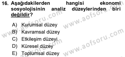 Ekonomi Sosyolojisi Dersi Ara Sınavı Deneme Sınav Soruları 16. Soru