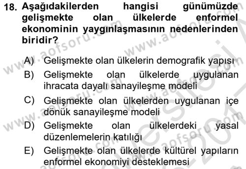 Ekonomi Sosyolojisi Dersi Ara Sınavı Deneme Sınav Soruları 18. Soru