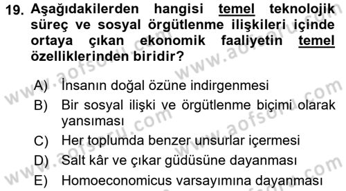 Ekonomi Sosyolojisi Dersi 2016 - 2017 Yılı (Vize) Ara Sınav Soruları 19. Soru