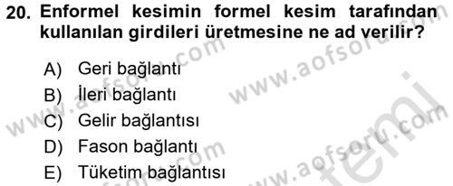 Ekonomi Sosyolojisi Dersi 2016 - 2017 Yılı (Vize) Ara Sınav Soruları 20. Soru