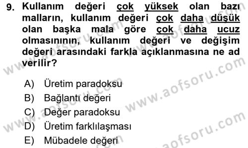 Ekonomi Sosyolojisi Dersi Ara Sınavı Deneme Sınav Soruları 9. Soru