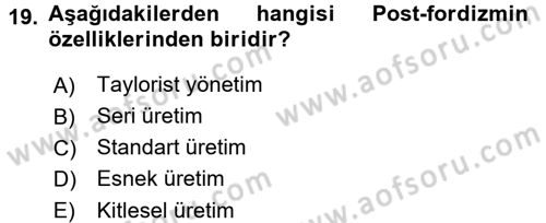 Ekonomi Sosyolojisi Dersi 2016 - 2017 Yılı (Final) Dönem Sonu Sınav Soruları 19. Soru