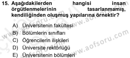 Ekonomi Sosyolojisi Dersi 2017 - 2018 Yılı 3 Ders Sınav Soruları 15. Soru
