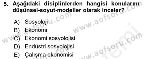 Ekonomi Sosyolojisi Dersi 2017 - 2018 Yılı 3 Ders Sınav Soruları 5. Soru