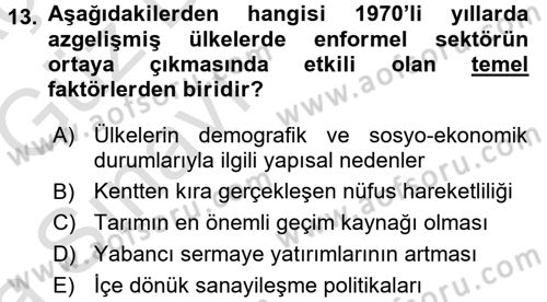 Ekonomi Sosyolojisi Dersi Ara Sınavı Deneme Sınav Soruları 13. Soru