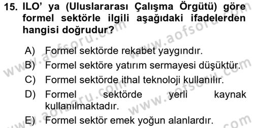 Ekonomi Sosyolojisi Dersi Ara Sınavı Deneme Sınav Soruları 15. Soru