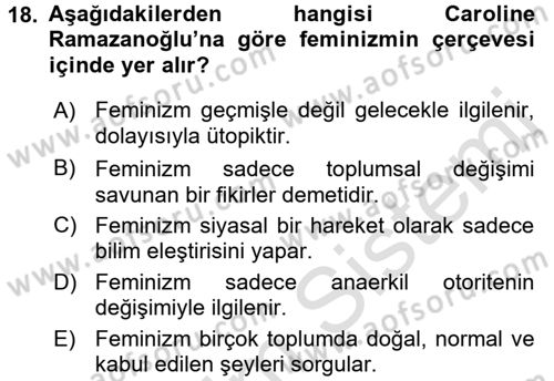 Ekonomi Sosyolojisi Dersi 2017 - 2018 Yılı (Vize) Ara Sınav Soruları 18. Soru