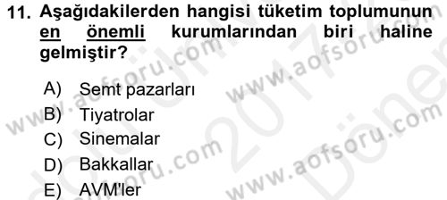 Ekonomi Sosyolojisi Dersi 2017 - 2018 Yılı (Final) Dönem Sonu Sınav Soruları 11. Soru