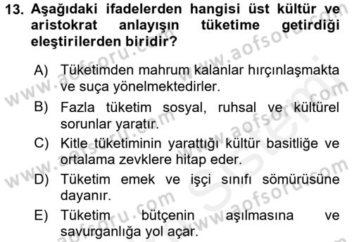 Ekonomi Sosyolojisi Dersi 2017 - 2018 Yılı (Final) Dönem Sonu Sınav Soruları 13. Soru