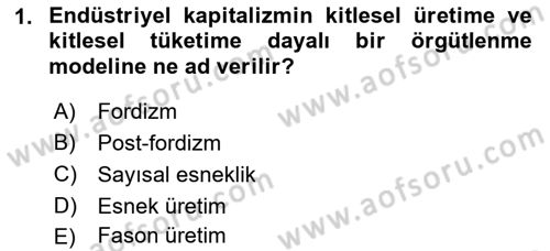 Ekonomi Sosyolojisi Dersi 2018 - 2019 Yılı 3 Ders Sınavı 1. Soru