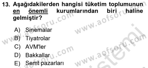 Ekonomi Sosyolojisi Dersi 2018 - 2019 Yılı 3 Ders Sınav Soruları 13. Soru