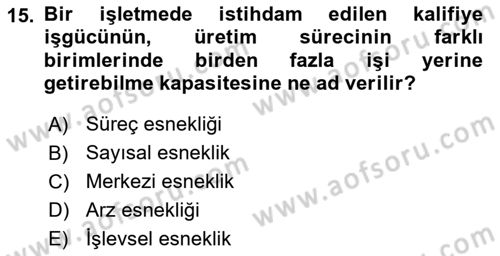 Ekonomi Sosyolojisi Dersi 2018 - 2019 Yılı 3 Ders Sınav Soruları 15. Soru