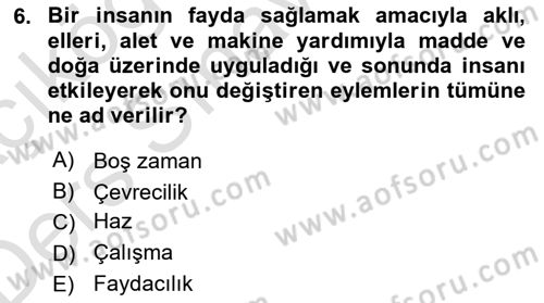 Ekonomi Sosyolojisi Dersi 2018 - 2019 Yılı 3 Ders Sınav Soruları 6. Soru