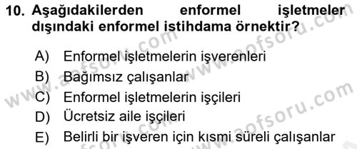 Ekonomi Sosyolojisi Dersi Ara Sınavı Deneme Sınav Soruları 10. Soru