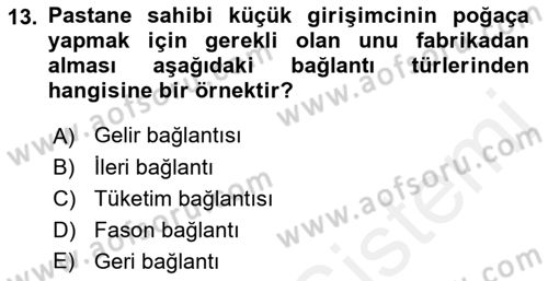 Ekonomi Sosyolojisi Dersi 2018 - 2019 Yılı (Vize) Ara Sınavı 13. Soru