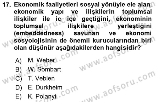 Ekonomi Sosyolojisi Dersi 2018 - 2019 Yılı (Vize) Ara Sınav Soruları 17. Soru