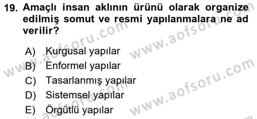 Ekonomi Sosyolojisi Dersi Ara Sınavı Deneme Sınav Soruları 19. Soru