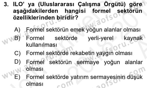 Ekonomi Sosyolojisi Dersi Ara Sınavı Deneme Sınav Soruları 3. Soru