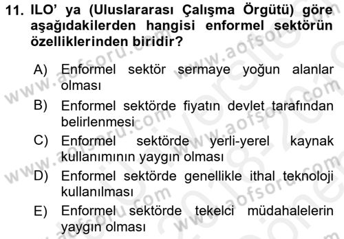 Ekonomi Sosyolojisi Dersi 2018 - 2019 Yılı (Final) Dönem Sonu Sınavı 11. Soru