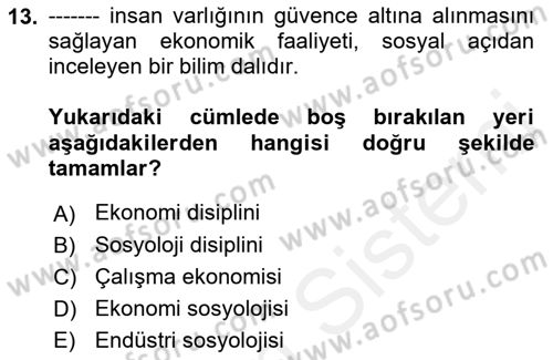 Ekonomi Sosyolojisi Dersi 2018 - 2019 Yılı (Final) Dönem Sonu Sınav Soruları 13. Soru
