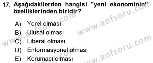 Ekonomi Sosyolojisi Dersi 2018 - 2019 Yılı (Final) Dönem Sonu Sınav Soruları 17. Soru