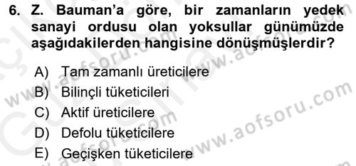 Ekonomi Sosyolojisi Dersi 2018 - 2019 Yılı (Final) Dönem Sonu Sınav Soruları 6. Soru