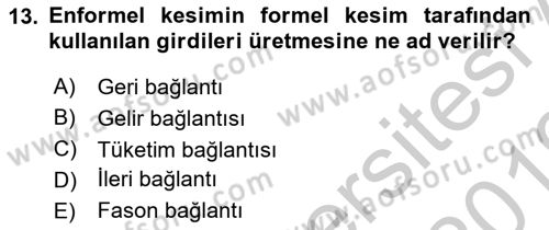 Ekonomi Sosyolojisi Dersi 2018 - 2019 Yılı Yaz Okulu Sınav Soruları 13. Soru