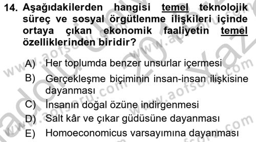 Ekonomi Sosyolojisi Dersi 2018 - 2019 Yılı Yaz Okulu Sınav Soruları 14. Soru