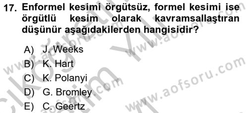 Ekonomi Sosyolojisi Dersi 2018 - 2019 Yılı Yaz Okulu Sınav Soruları 17. Soru