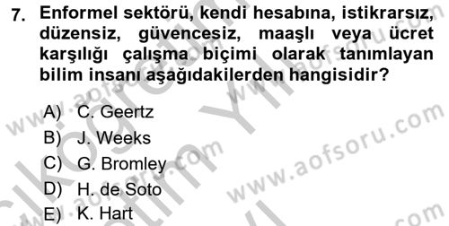 Ekonomi Sosyolojisi Dersi 2018 - 2019 Yılı Yaz Okulu Sınav Soruları 7. Soru