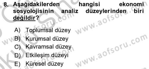 Ekonomi Sosyolojisi Dersi 2018 - 2019 Yılı Yaz Okulu Sınav Soruları 8. Soru