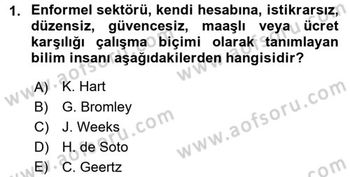 Ekonomi Sosyolojisi Dersi Ara Sınavı Deneme Sınav Soruları 1. Soru