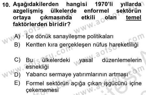 Ekonomi Sosyolojisi Dersi 2019 - 2020 Yılı (Vize) Ara Sınavı 10. Soru