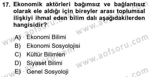 Ekonomi Sosyolojisi Dersi 2019 - 2020 Yılı (Vize) Ara Sınav Soruları 17. Soru