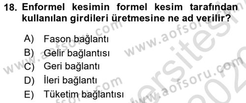 Ekonomi Sosyolojisi Dersi 2019 - 2020 Yılı (Vize) Ara Sınav Soruları 18. Soru