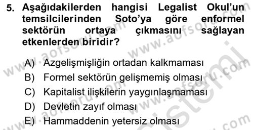 Ekonomi Sosyolojisi Dersi Ara Sınavı Deneme Sınav Soruları 5. Soru